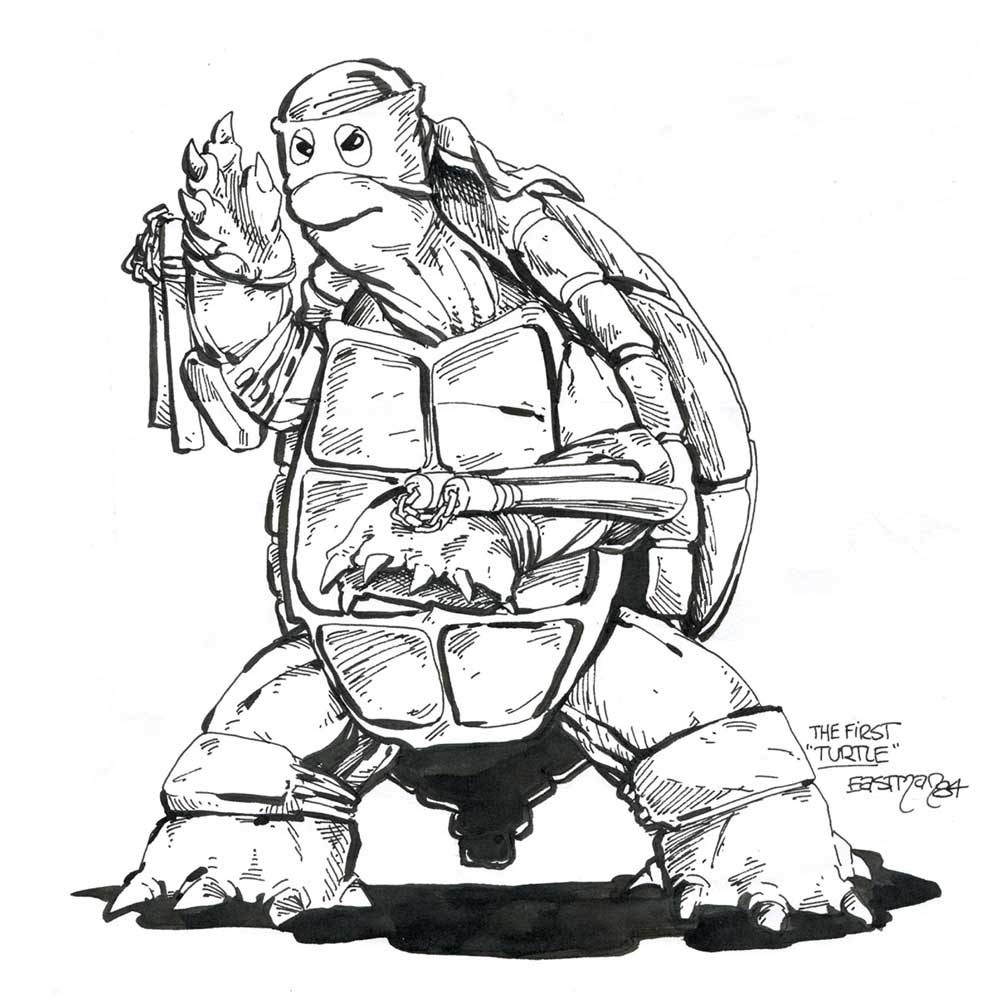 The First Turtle