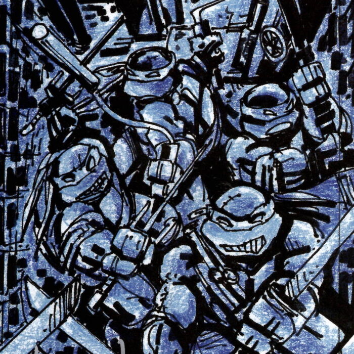 TMNT 93 IDW convention exclusive SIGNED