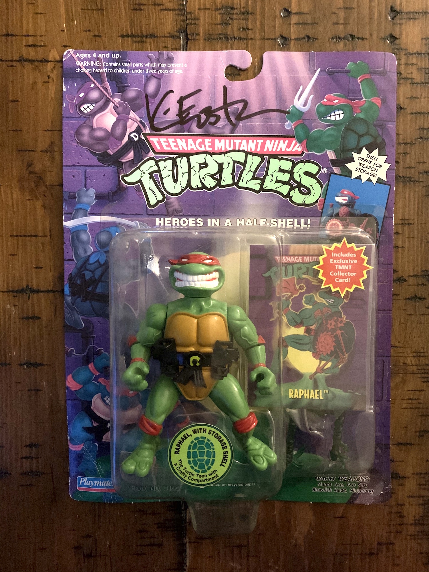 storage shell tmnt
