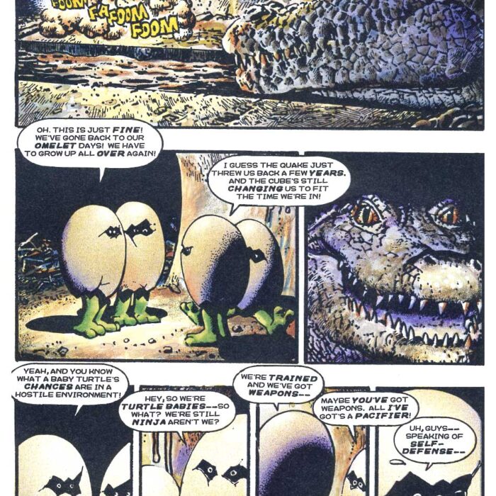 Turtle Baby Sculpture with Vintage Signed TMNT Book