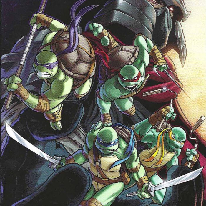 TMNT Issue #47 RI 1:10 Valerio Schiti Variant – Signed