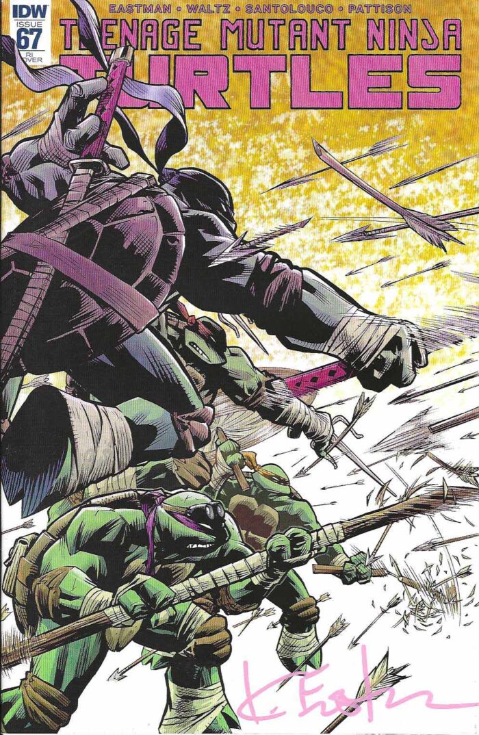 TMNT Issue #67 RI  1:10 Karl Moline Variant – Signed