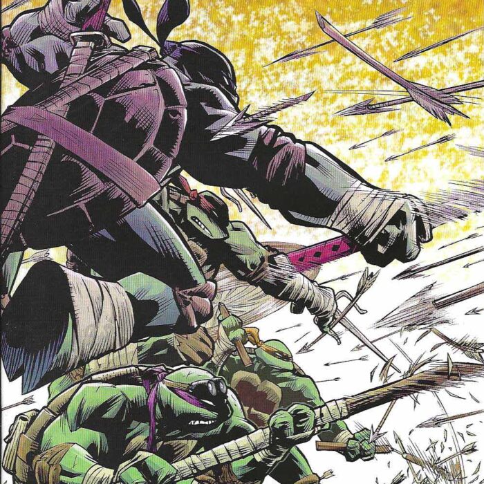 TMNT Issue #67 RI 1:10 Karl Moline Variant – Signed