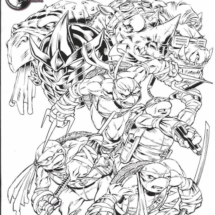 TMNT Issue #67 RE Unknown Comics Variant – Signed