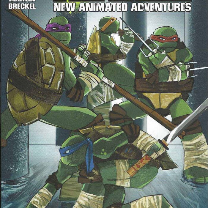 TMNT New Animated Adventures #17- Cover – Signed