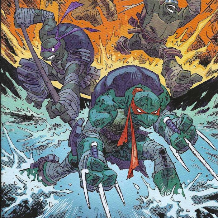 TMNT #49 RI – Jason Howard Cover – Signed