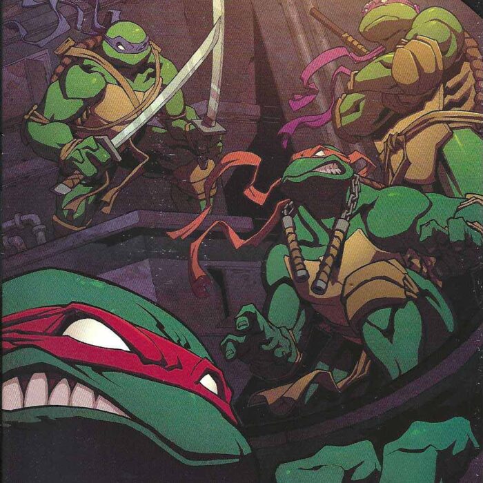 TMNT Issue #64 RI Signed