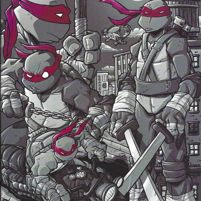 TMNT #22 RE Showcase Comics Variant – SIGNED
