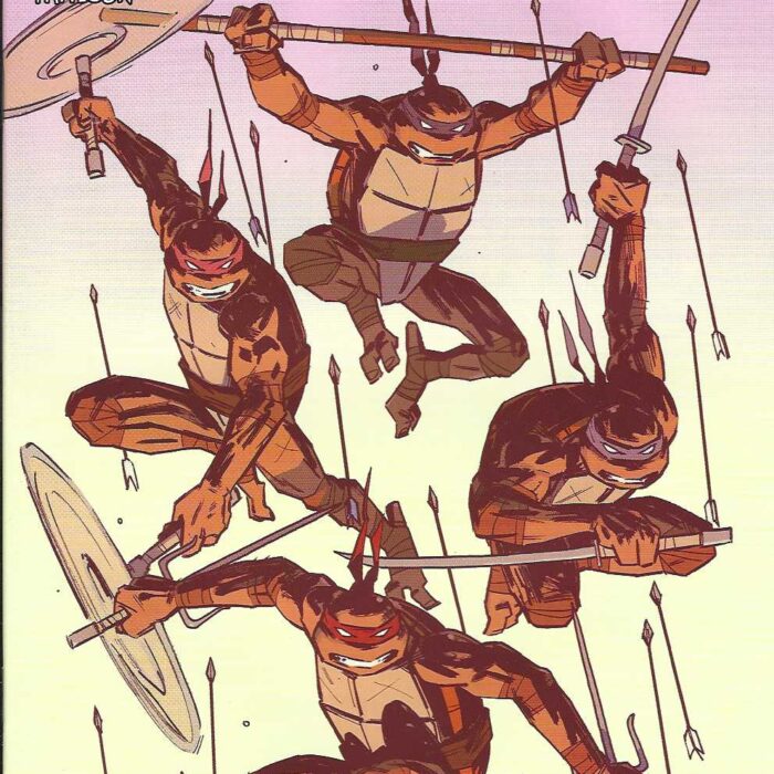 TMNT #38 RI – Cover – Signed