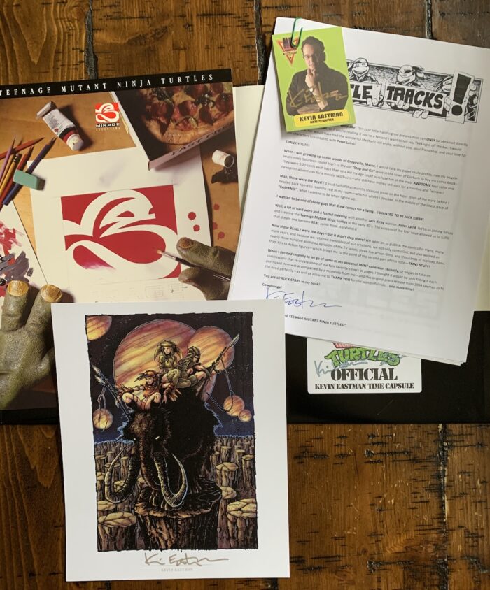 NECA Karai – Original Art for Mirage Studios Inspired Collectibles Line