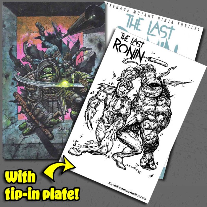 The Last Ronin issue 5, Eastman Studios Exclusive Bisley/Eastman Variant Cover