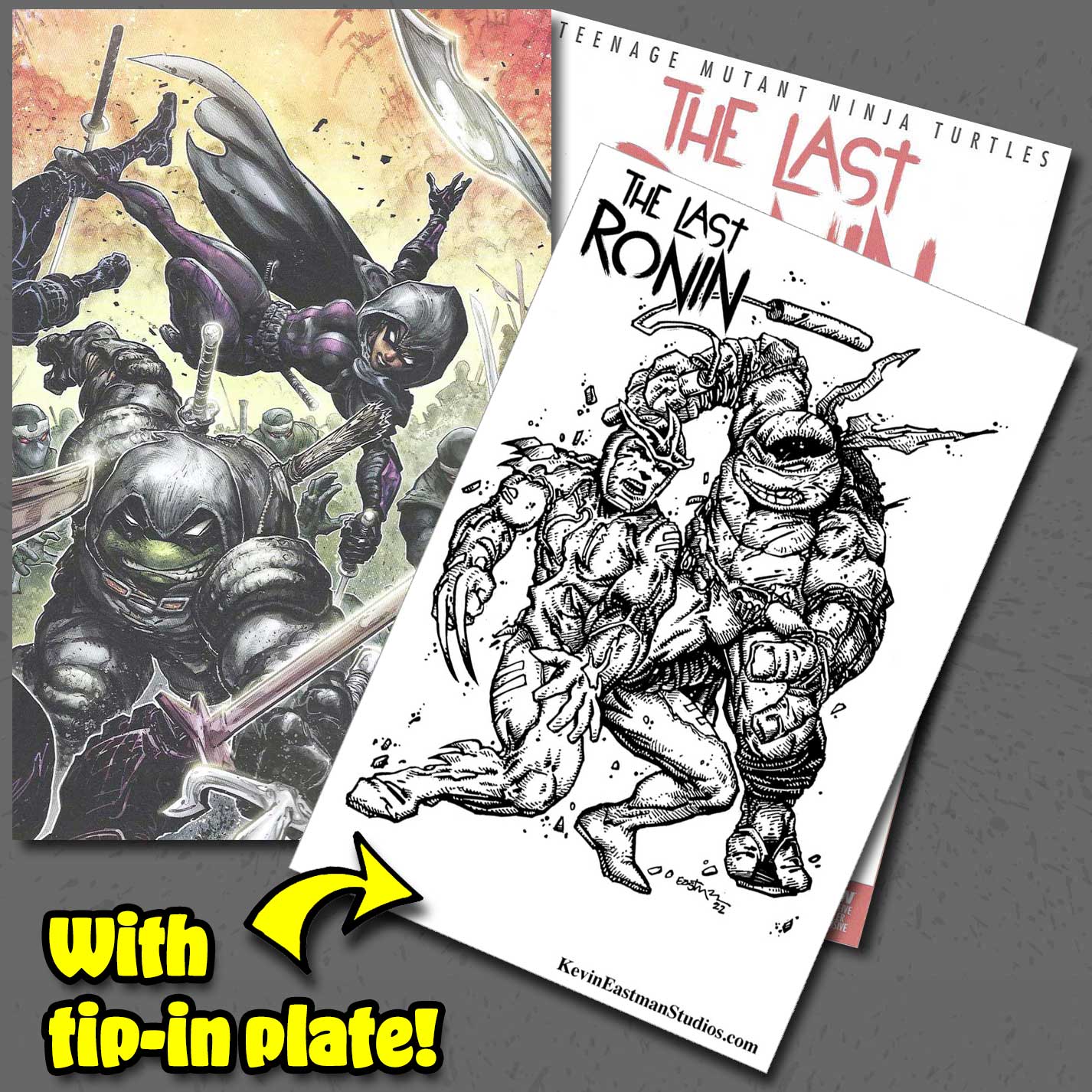 The Last Ronin issue 5, Eastman Studios Exclusive Williams/Eastman Variant Cover
