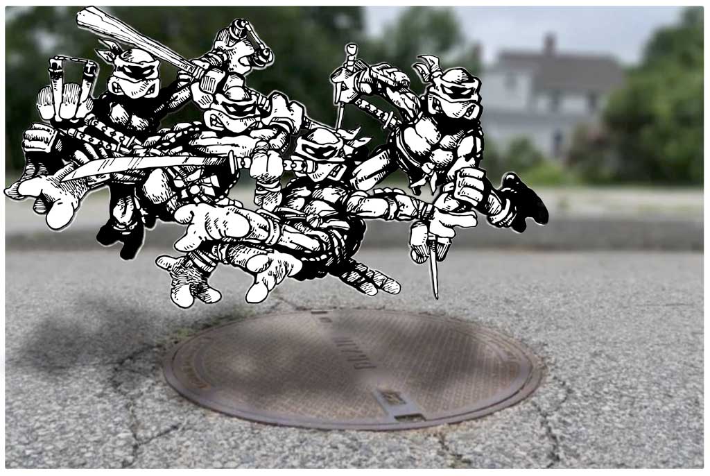 You are currently viewing Historic Marker for the Birthplace of TMNT