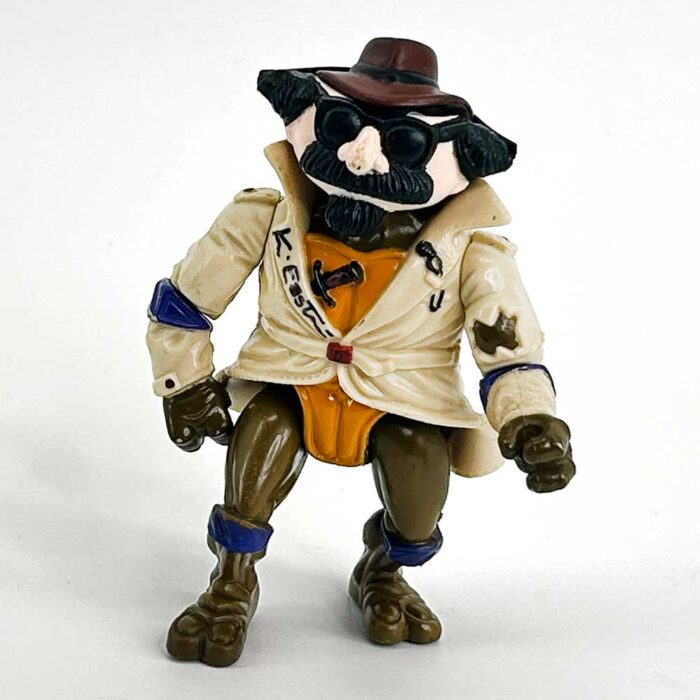 Don the Undercover Turtle