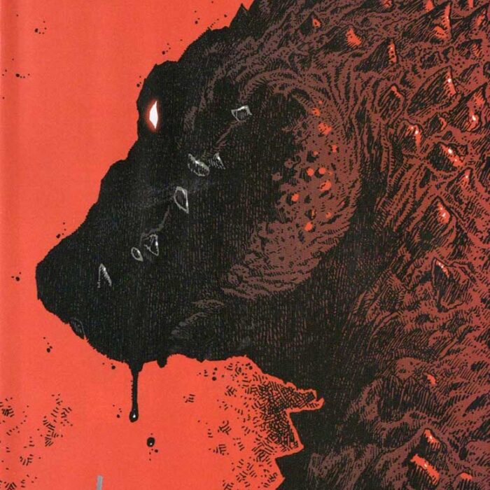 TMNT 141 Cover B Eastman Variant – Signed