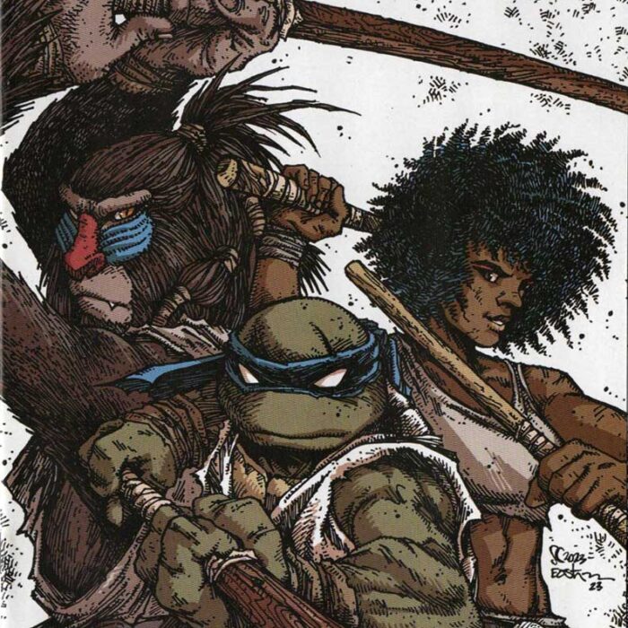 TMNT Issue 143 – Stunning Art – SIGNED