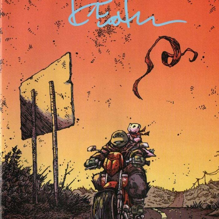 TMNT Issue 144 Set of 2 Covers – Stunning Art – SIGNED