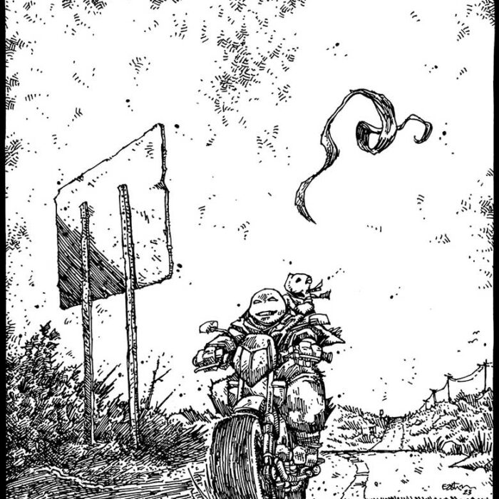 TMNT Issue 144 Charming Original Art