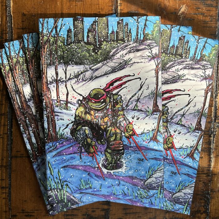 TARGET R – TMNT MACROSERIES #4 – 2024 KESI Exclusive Wholesale Retailer Bundle