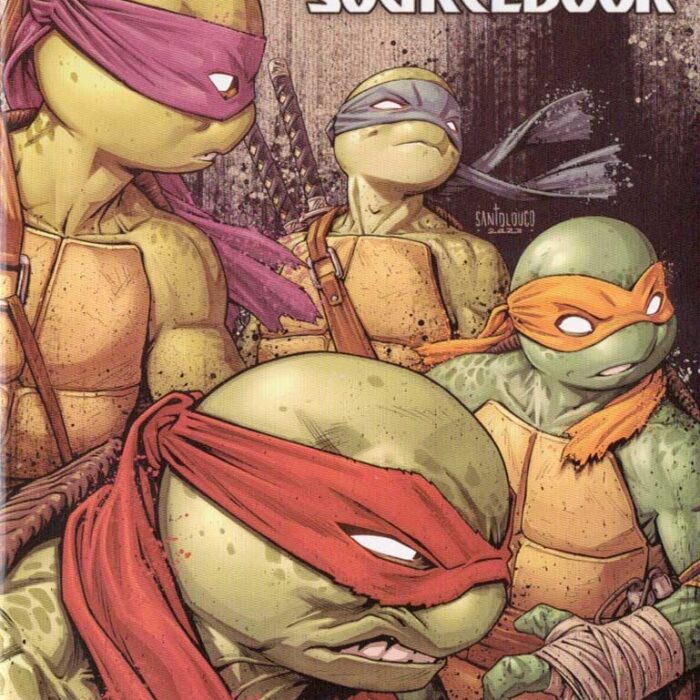 TMNT 2024 IDW Sourcebook Signed Just $25
