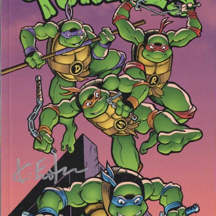 TMNT Saturday Morning Adventures SIGNED with Headsketch – Just $25