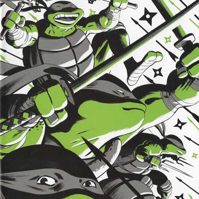 TMNT Black White and Green #2 Cover A Signed by Eastman