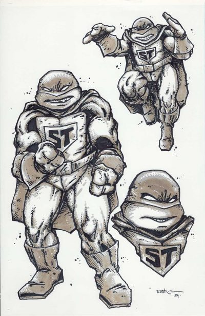 NECA Super Turtle Original Art for Mirage Studios Inspired Collectibles Line
