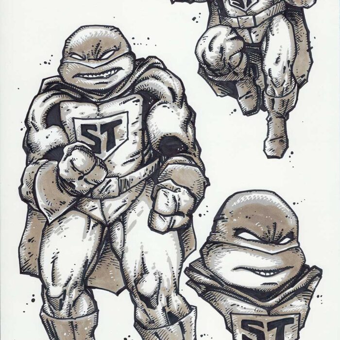 NECA Super Turtle Original Art for Mirage Studios Inspired Collectibles Line
