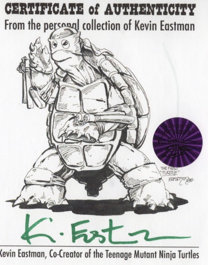 Original Art Raphael – Street Vigilante Turtle