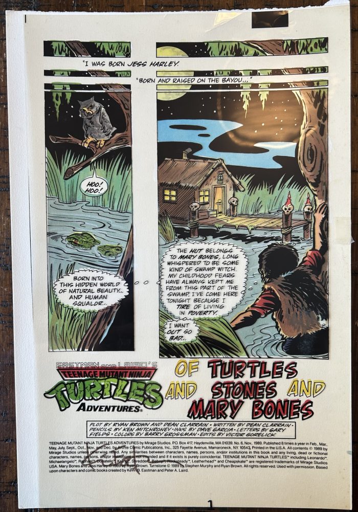 TMNT Adventures Archie No. 6 Title Page, 1989