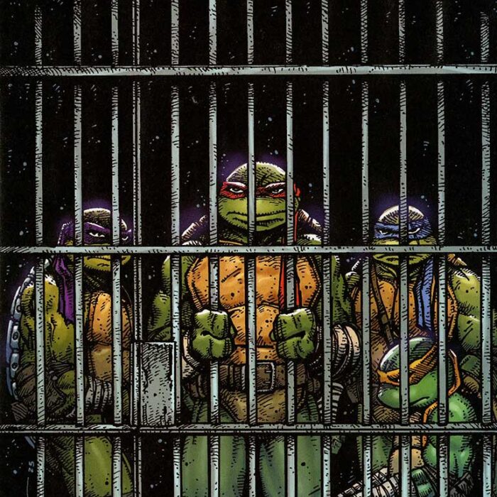 TMNT Volume 7 Issue 11 Signed Eastman RI cover  Hard to Find