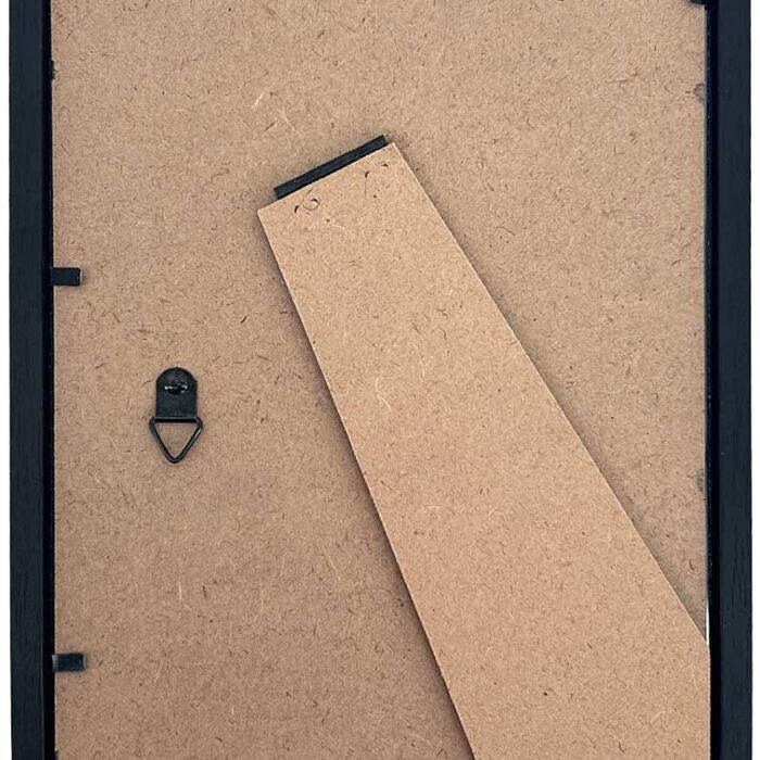 SIGNED and Framed Mini Print with Hologram COA TMNT 2019