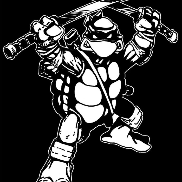 1984 TMNT Original Leonardo Tee