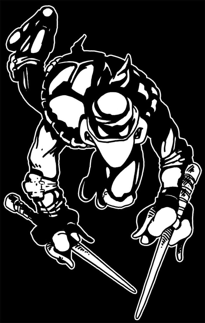 1984 TMNT Original Raphael Tee