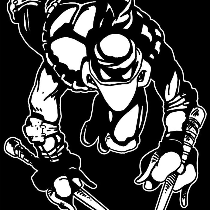 1984 TMNT Original Raphael Tee