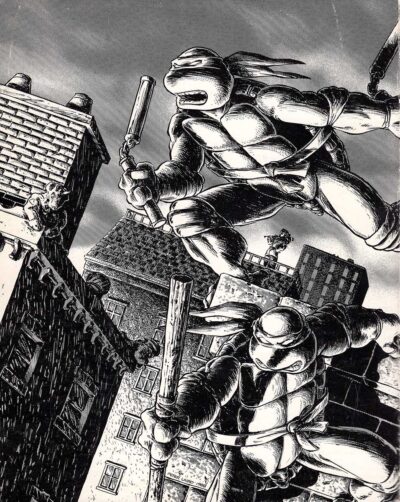 1988 Teenage Mutant Ninja Turtles Volume One - Signed with Head Sketch - Image 3