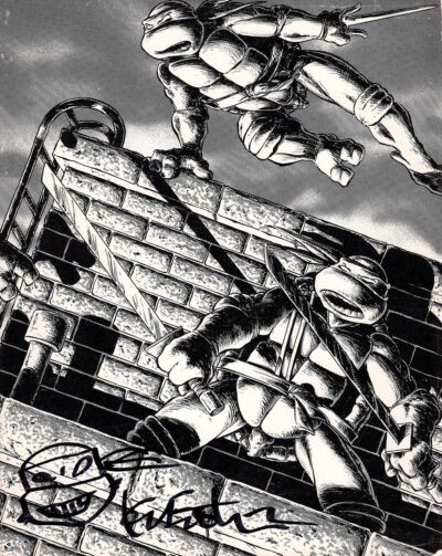 1988 Teenage Mutant Ninja Turtles Volume One - Signed with Head Sketch