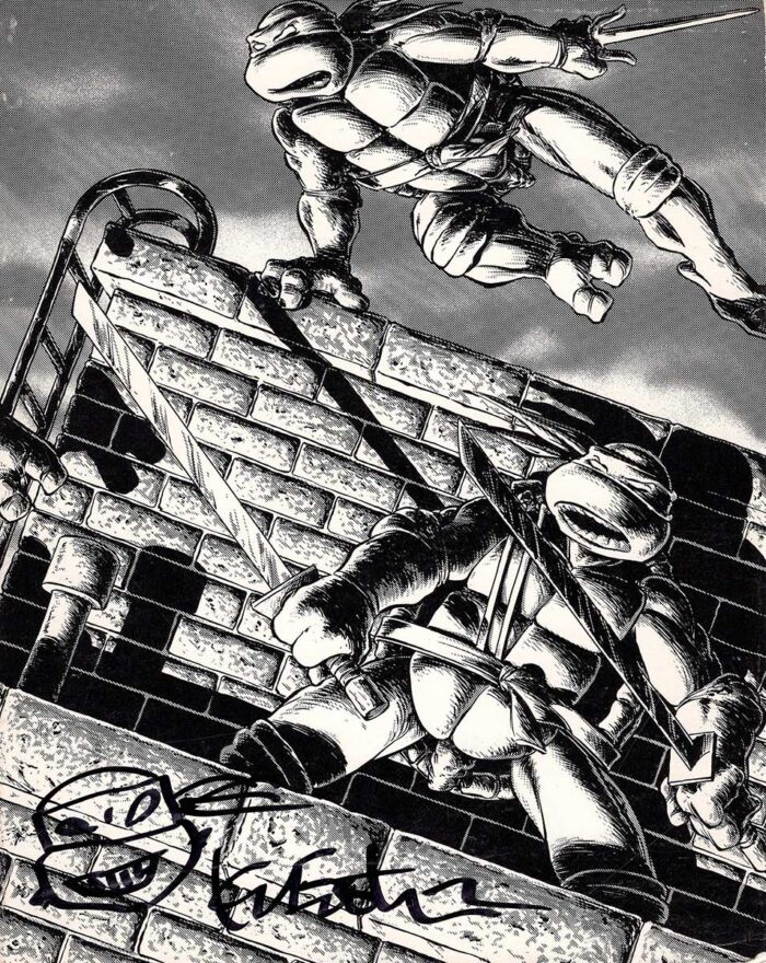 1988 Teenage Mutant Ninja Turtles Volume One – Signed with Head Sketch