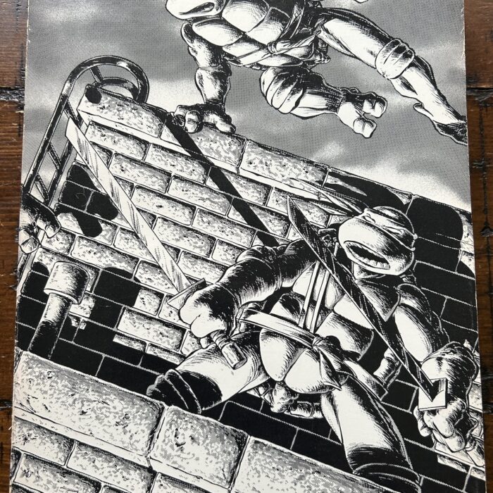 1988 Teenage Mutant Ninja Turtles Volume One – Signed with Head Sketch