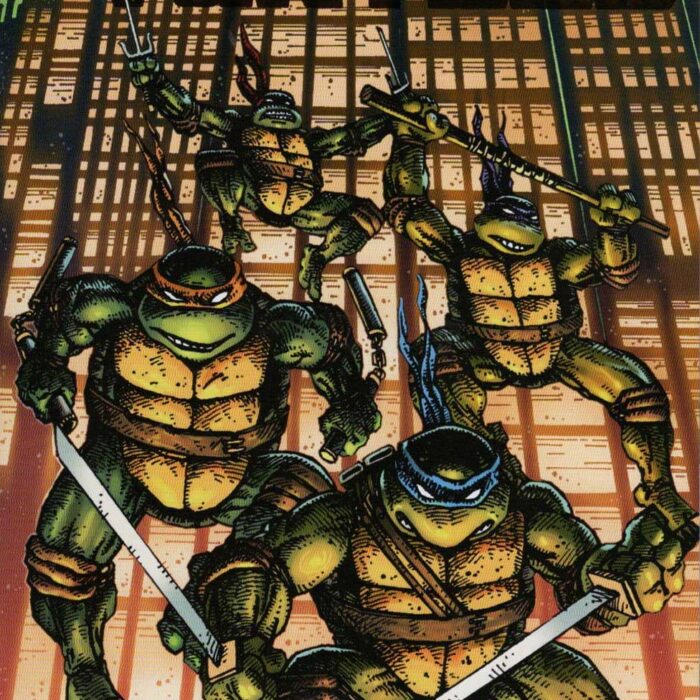 TMNT 300 Eastman and Laird Cover Art Signed by Kevin